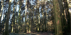 Monte Pecoraro